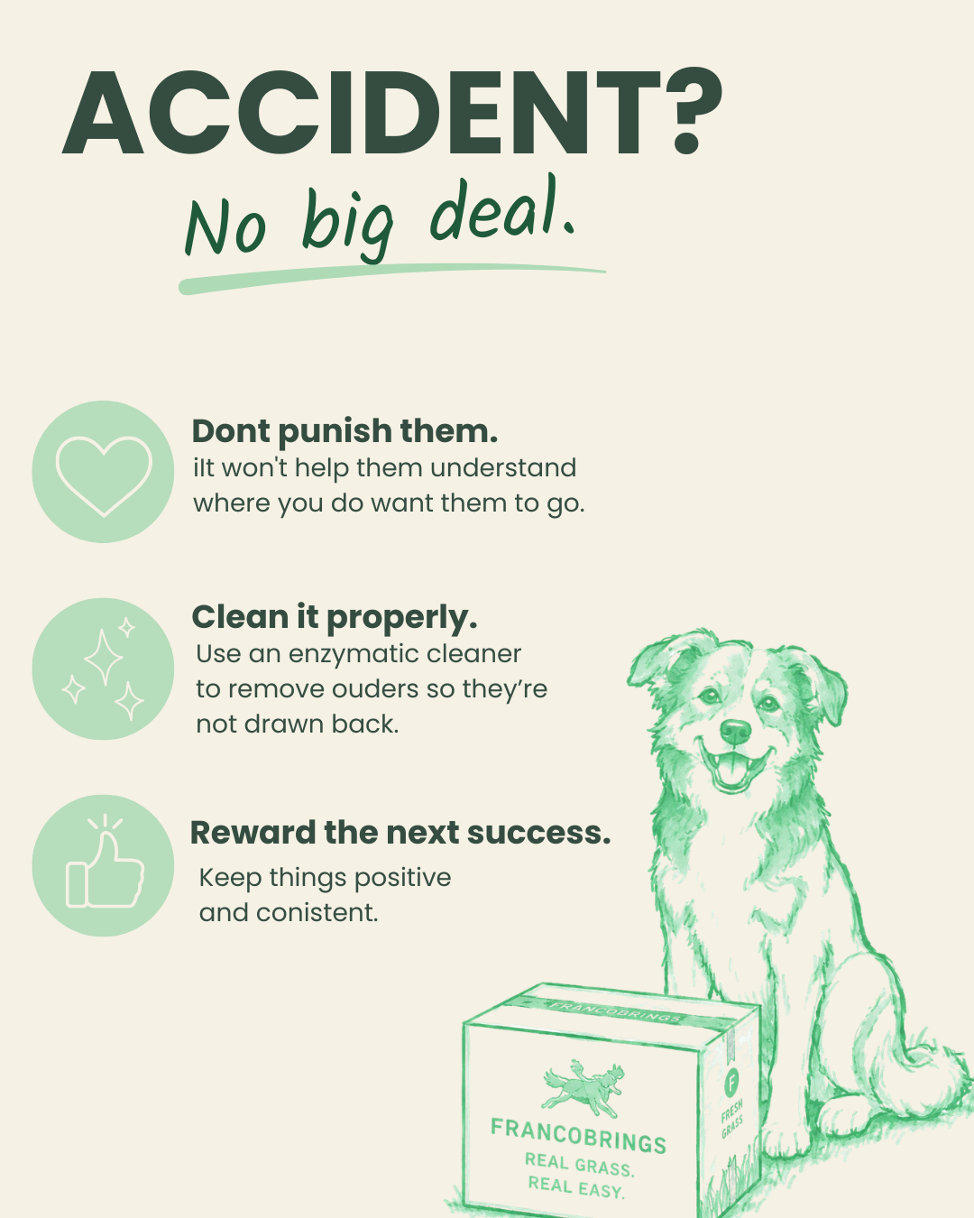 Accidents are no big deal: don't punish, clean properly and reward the next success