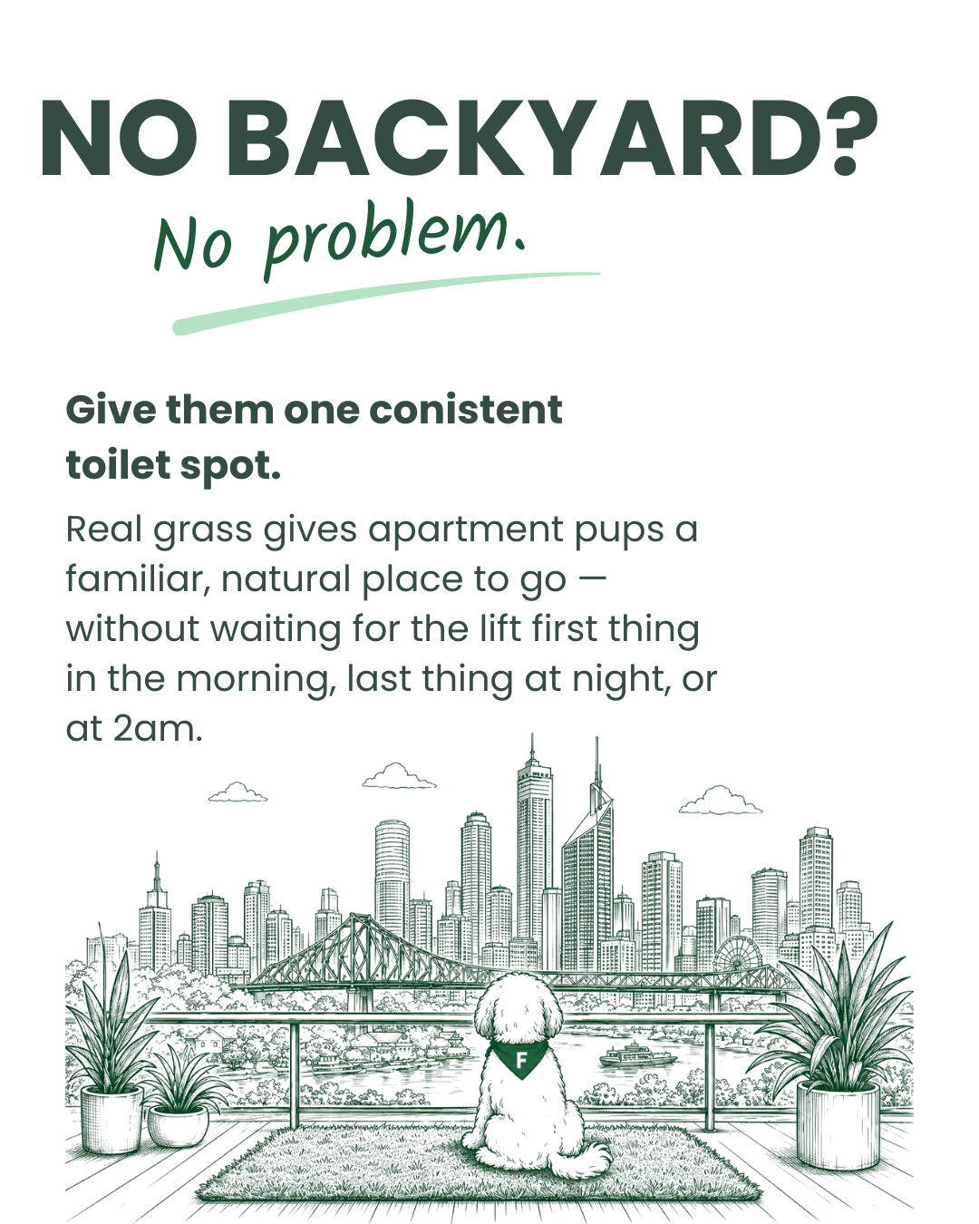 No backyard? A consistent real grass toilet spot can help apartment puppies
