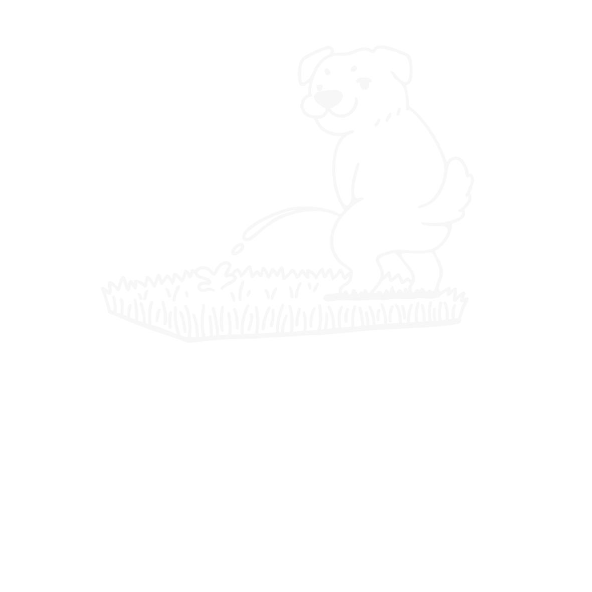 Franco Brings